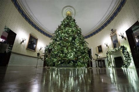 white house christmas tree from valley decorated with flowers representing each state in u s