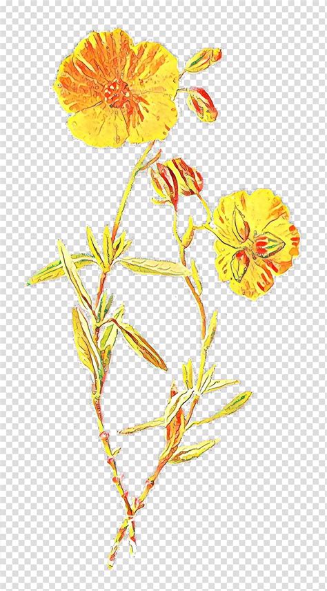 Yellow Wild Flower Clipart 10 Free Cliparts Download Images On