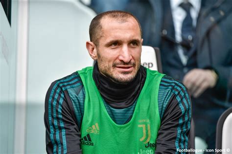 Giorgio chiellini is a professional footballer of italy who plays as a defender for serie a club juventus, and for the italian national team. Giorgio Chiellini bientôt prolongé ! | Sport Business Mag