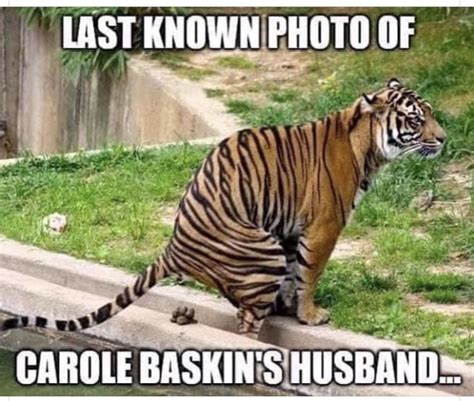 Pin By Candice Clement On Laughs Funny Tiger Bones Funny Pet Tiger