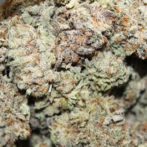 Order Durban Poison Online Canada Top Dispensary