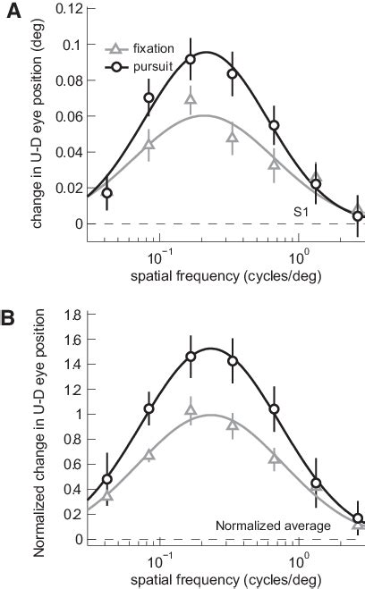 Ocular Responses To The Background Perturbations Showing Dependence On Download Scientific