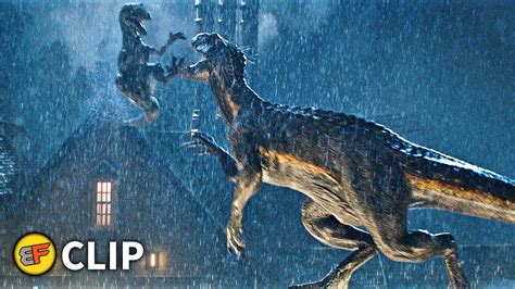 Blue Vs Indoraptor Final Battle Scene Jurassic World Fallen Kingdom 2018 Movie Clip Hd 4k