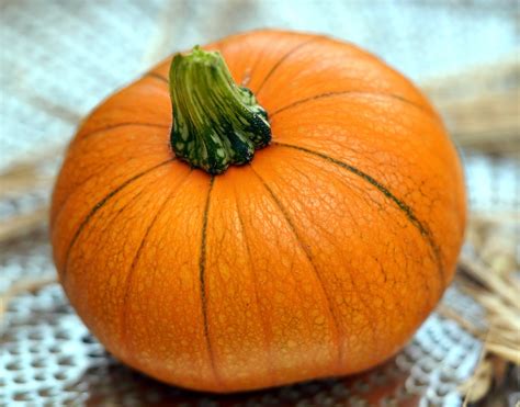 Pumpkin Vegetables Harvest Free Photo On Pixabay