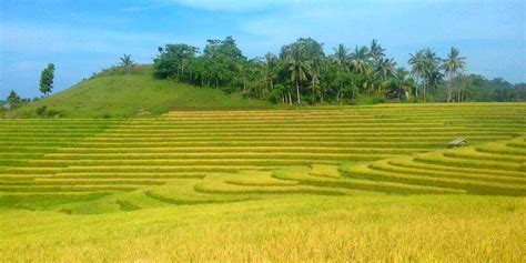 Cadapdapan Rice Terraces And Can Umantad Falls