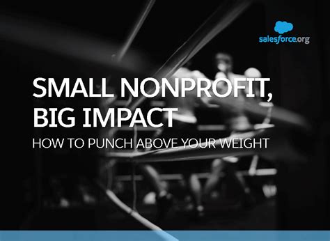 Nonprofits Punch Above Your Weight Image