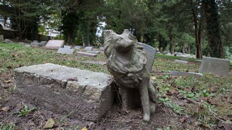 Crushingly Sad Photos Of One Of Americas Oldest Pet Cemeteries Vice