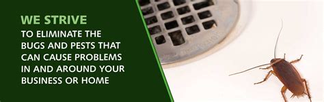 Bill's pest termite control helps residential and commercial property owners tackle their pest control and termite treatment problems with the best solutions. Good Earth Termite & Pest Control