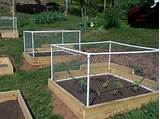 Garden Bed Fence Protection Pictures