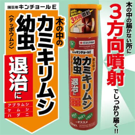 住友化学園芸 殺虫剤 園芸用キンチョールe カミキリムシ 幼虫 退治 【メール便送料無料対応可】