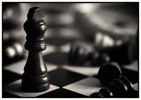 It is a game between reasoning and feeling. Schachmatt Foto & Bild | stillleben, kunstfotografie ...