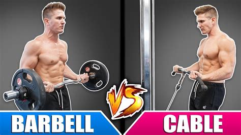 Barbell Bicep Curl Vs Cable Bicep Curl Muscular Strength