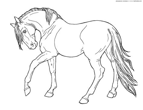 Dibujos de caballos para colorear