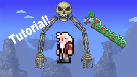 Terraria How To Summon Skeletron - Terraria: How to find and summon Skeletron!!! - YouTube