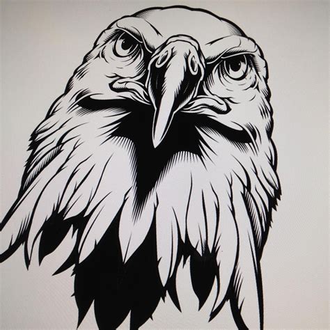 Jared Mirabile On Instagram Eagle Illustration Wip Illustration