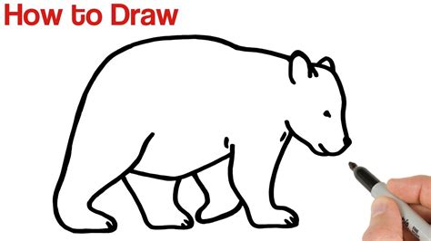 Animal Drawings Easy