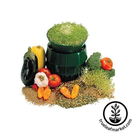 Deluxe Sprouting Kit Home Seed Sprout Growing Kit