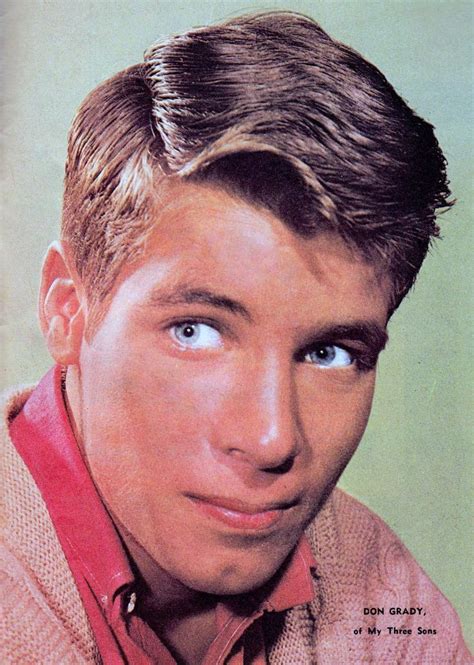31 Best Images About Don Grady On Pinterest My Three Sons Tim