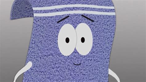 Who Voices Towelie On South Park