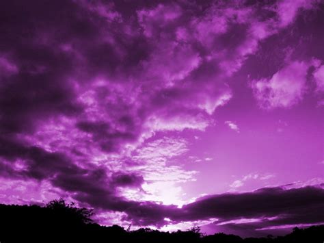 Purple Purple Sky Colors Photo 27118172 Fanpop