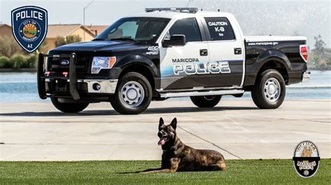 K9 Ike Maricopa Police Department Arizona