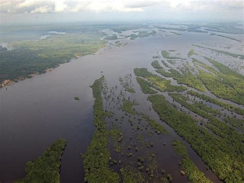 Bolsonaro Asegura Que La Amazonía Es Brasileña Internacional Portafolio