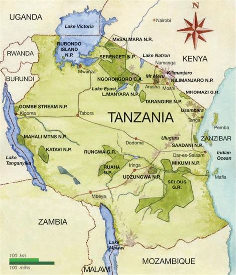 Safari At Tanzanias Lake Manyara Ilivetotravels Travel Log