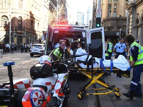 Sydney Murder And Stabbing Not Terrorism The Senior Senior