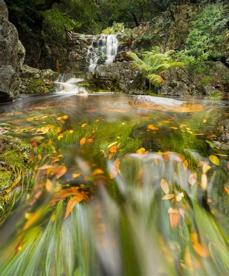 Waterfall In Fall Stock Image Image Of Color Fall 154552323