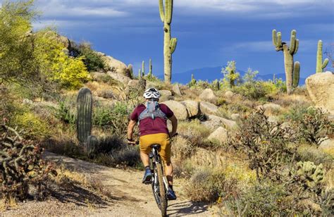 Help other customers/shoppers and write review about shopping in desert sports & fitness center, santa cruz plaza. Tucson Mountain Biking - The Local's Guide to Tucson's Trails