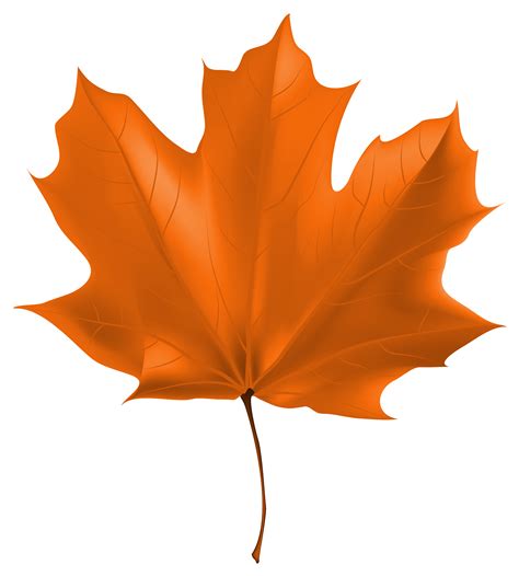 Autumn Leaves Clip Art Clipart Best