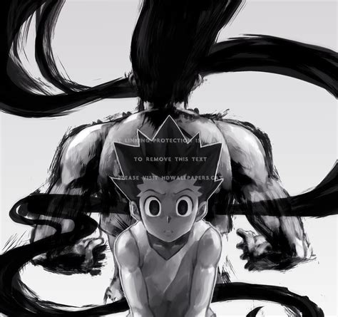 Finding his father is gon's motivation in becoming a hunter. sacrifice gon freecss enhancer nen user x