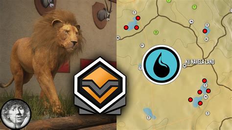 Diamond Lion Guide With Map Locations Vurhonga Savanna