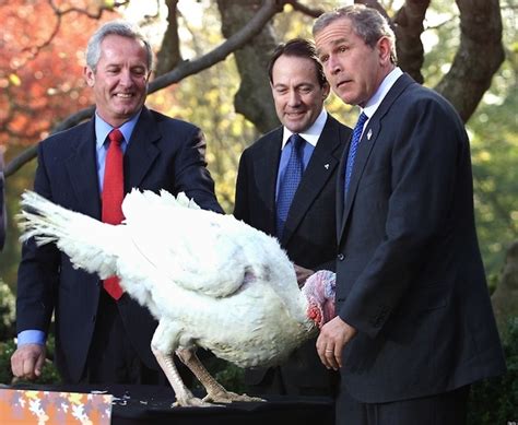 presidential turkey pardon a look back at the thanksgiving tradition photos