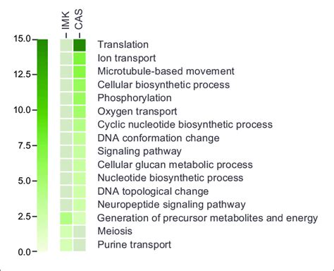 The Go Categories Enriched Based On Adjusted Hypergeometric P Value Download Scientific