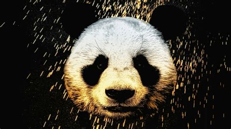 Panda Song In 3d Sound Extreme Bass Youtube