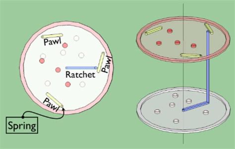 An Illustration Of The Ratchet And Pawl System Left Top View Right