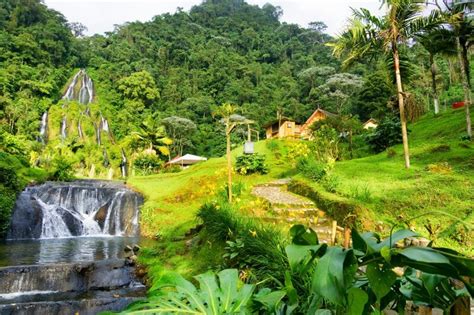 Exploring Pereira Colombias Other “city Of Eternal Spring”