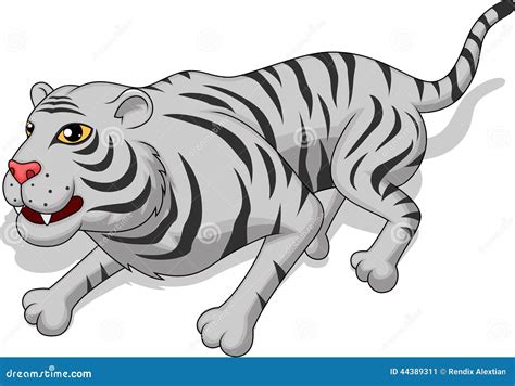 Aggressive White Tiger Cartoon Stock Vector Image 44389311