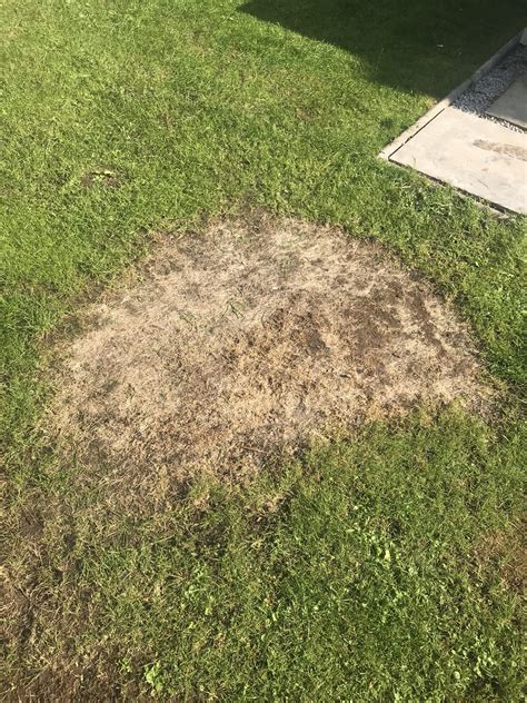 My Lawn Has A Massive Dead Patch Can Anyone Offer Advice On How To Restore It Rgardeninguk