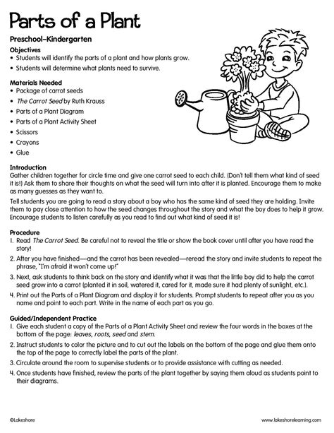 Detailed Lesson Plan Parts Of The Plants
