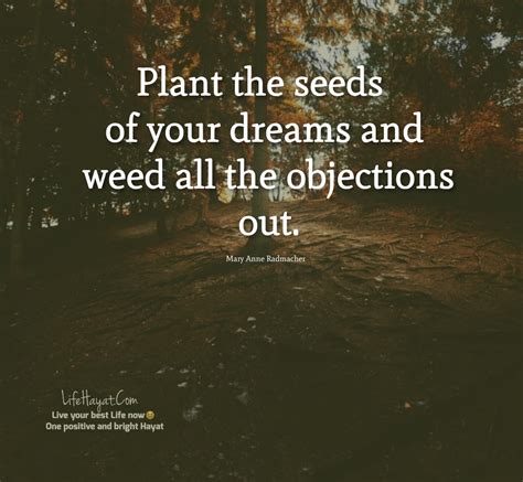 20 Planting Seeds Quotes For A Better Life Best Life Hayat