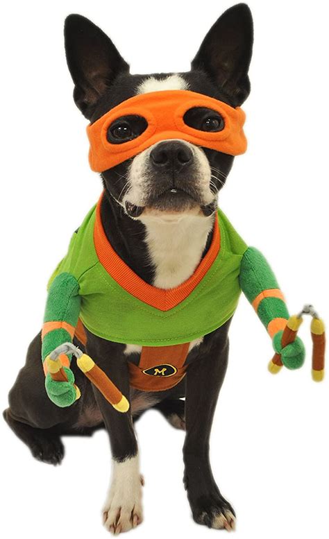 Which Is The Best Teenage Mutant Ninja Turtles Dog Costume