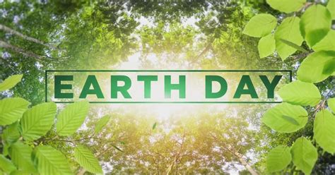Earth Day Tips You Need To Know To Make Your Home More Sustainable