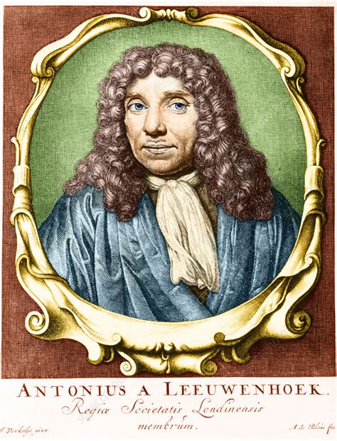 Anton Van Leeuwenhoek Stock Image C0503609 Science Photo Library