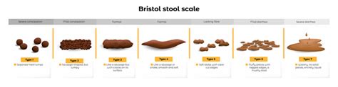 Bristol Stool Chart The Different Types Of Poop Goodrx 58 Off