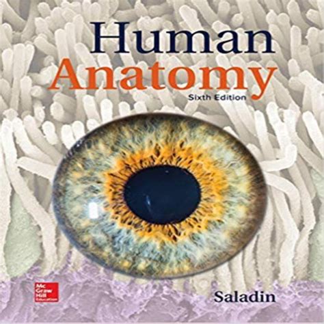 Human Anatomy 6th Edition By Kenneth Saladin Test Bank