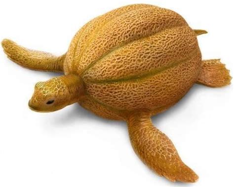 Top 50 Funniest Photoshopped Photos Food Art Fruit Animals