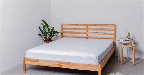 Also, sometimes couples will disagree on the proper. The 3 Best Mattress Covers For Bed Bugs