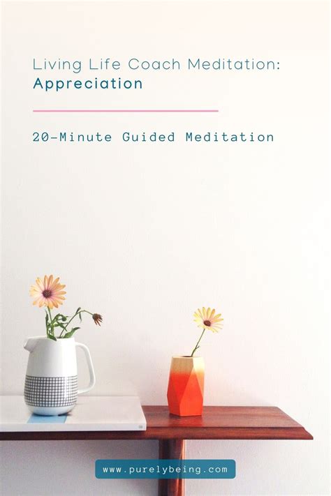 Living Life Coach Meditation Appreciation — Purely Being Guided